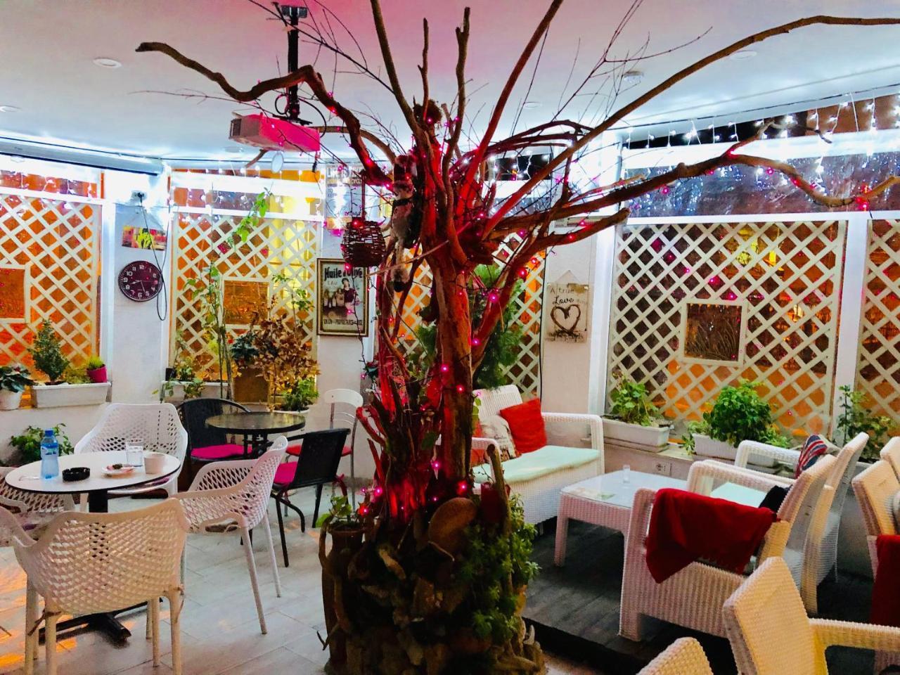 טיראנה Vila Ada Hotel מראה חיצוני תמונה
